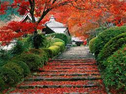 Garden Staircase Kyoto Japan Jpg Image Kyoto Garden Beautiful Gardens Japanese Garden