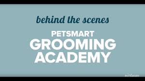 How to become a dog groomer at petsmart. Behind The Scenes With The Stylists At Petsmart Grooming Academy Youtube