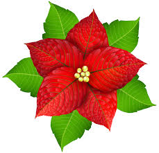Free Poinsettia Clipart Leaf Download Free Clip Art On
