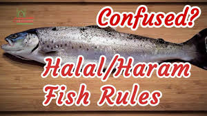 حلال‎ ḥalāl, turcă helal) este termenul coranic care înseamnă. What Makes A Fish Halal Ecommerce