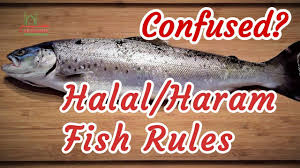 In other words, the 'digital cash' philosophy and usage of. Question Is Catfish Halal Shia Ebay
