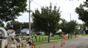 Maybe you would like to learn more about one of these? West Penn Power S 2020 Tree Trimming Program To Enhance Service Reliability