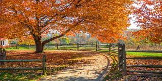 One of these ideas is sure to please everyone. Best New Jersey Fall Activities Festivals And Events