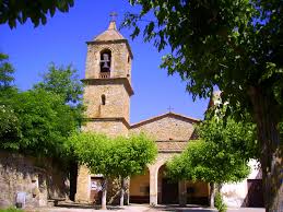 Image result for Grona afra