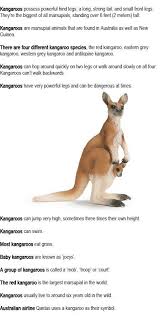 Pin By Money Dream Life Animals Nat On Animal Facts Info Facts For Kids Kangaroo Facts For Kids Kangaroo Facts