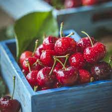 Diet May Affect Risk Of Developing Mgus And Risk Of Mgus Progressing To Multiple Myeloma