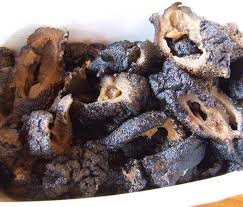 あなたはアメフラシを食べたことがありますか ぼうずコンニャクのお魚三昧日記