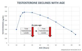 home testosurge