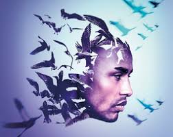 Migrations, Welsh National Opera ( WNO ), 29 juni