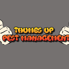 Operating hours, phone number, services information, and other locations near avondale goodyear post office. Thumbs Up Pest Management Llc Phoenix Az