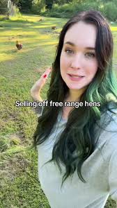 Selling My Free Range Chicken Flock for New Beginnings
