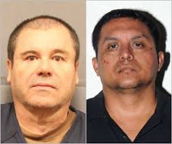 Eroin ve kokain dağıtımı yapmaktan, kaçak silah bulundurmak ve kara para aklamaya kadar pek çok suçtan hüküm. La Amistad Que El Chapo Hizo Con El Z 40 En Prision