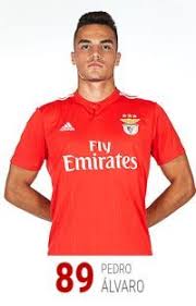 Plantel 2019 2020 Em 2020 Desempenho