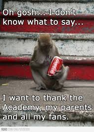 Award Winning Monkey Monkeys Funny Funny Animals With Captions Funny Pictures With Captions