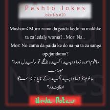 English funny pictures english jokes english images for fb whatsapp english jokes by 1q2w3e4r5t6y7u8i9o0p meme center. Pashto Jokes Jokes Funny Jokes English Translation