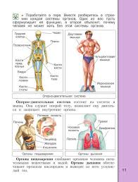 окружающий мир 2 класс 1 часть плешаков учебник читать онлайн Uchebnik Po Okruzhayushemu Miru 4 Klass Vahrushev Chast 1 2 Chitat Onlajn Shopping