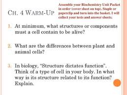 Structure and function of the cell ppt video online download. Chapter 6 A Tour Of The Cell Ppt Download