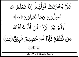 Buat kamu yang sering baca yasin online, lebih baik simoan halaman ini. Surah Yasin Verses 76 77 Islamic Quotes Verses Teachings