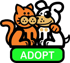 Pet Adoption Clipart Pets Pet Adoption Cute White Dogs