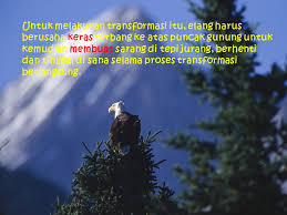 Filosofi inilah yang menjadikan burung rajawali banyak di adopsi sebagai 'brand image'. 76 Gambar Elang Terbang Tinggi Hd Gambar Pixabay