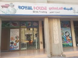 Our shops are currently in the process of reopening, with safety measures in place following. Royal House Birds Trading Pet Food Accessories Stores In International City Warsan 1 Dubai