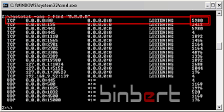 Find Which Application/Service Is Running In A Port – Windows – Binbert