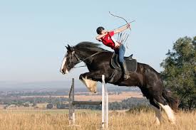 Adriana Della Franca Is A Skilled Horse Archer Who Has A Long List Of Titles To Her Name Including Three Time Australian Nati Horse Archery Horse Archer Horses
