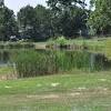 Providing inorganic fertilizers can ramp up phytoplankton and zooplankton levels in your new pond, which are excellent food for young and small fish. Https Encrypted Tbn0 Gstatic Com Images Q Tbn And9gctdbqgce0qxzorg5b4pyj175jzrsgkfd2jv5nzas6jkyifi0iae Usqp Cau