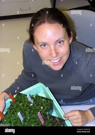 Van norman hi-res stock photography and images