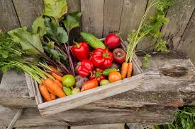 Check spelling or type a new query. Build A Raised Bed Vegetable Garden In Your Philly Rowhouse Backyard For Cheap