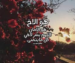 ليس الأخ مـن ودَّ بلسانـه ولكن الأخ من ودّ وهو غائب، ومن ماله مالي إذا كنـت معدماً ومالي لـه إن أعوزتـه النوائب. ÙƒÙ„Ù…Ø§Øª Ø¹Ù† Ø§Ù„Ø§Ø® Ù„ÙŠØ¯ÙŠ Ø¨ÙŠØ±Ø¯