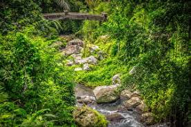 обои на рабочий стол природа в хорошем качестве скачать бесплатно Indoneziya Kartinki 81 Foto Skachat Oboi