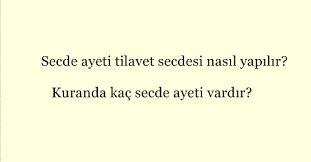 Bunlardan birini okuyanın veya işitenin, manasını anlamasa da, bir secde yapması vacib dir. Secde Ayeti Okundugunda Tilavet Secdesi Nasil Yapilir Netbilen Haber