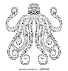 Image Result For Octopus