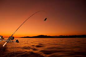 Because i know, you will not be able to download all wallpapers one by all pictures are in hd. Fishing Wallpaper Wallpaper Free Download 1920 1080 Fishing Wallpapers 46 Wallpapers Adorable Wallpap Fishing Pictures Fish Wallpaper Recreational Fishing