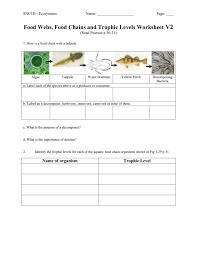 Cartoon drawing or illustration of line of fish, bigger is eating smaller ones, metaphor of business. Food Webs Food Chains And Trophic Levels Worksheet V2