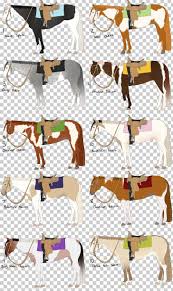 Bvf jetta bailey (m) [bvf ima chic magnet (id) 1992 rabicano roan (smart chic o' lena (r. Mustang American Paint Horse Pony American Quarter Horse Overo Png Clipart American Paint Horse American Paint