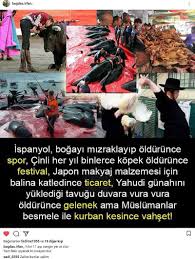 Yilin 11 Ayi Zengin Yer Et Olur Tam Fakir Yiyecek Ki Cinayet Olur Gercekler Yasam Mottosu Guzel Hayat