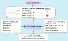 Image result for Multidentia sp. A
