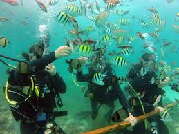 The 10 Best Things To Do Near Movenpick Hotel Mactan Island Cebu