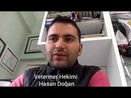 Kedi Ve Kopeklerde Asi Sonrasi Halsizlik Ates Istahsizlik Yemek Yememe Sislik Titreme Alerji Ishal Youtube