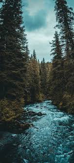 Iphone Wallpapers River Winner Creek Trail River Best Hd Wallpapers Nature 2991555 Hd Wallpaper Backgrounds Download Original images are optimized for oled panels with the following nature photography wallpaper pack contains original imagery by @wallsbyjfl.