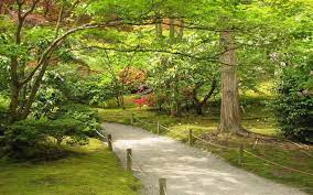 Spring Japanese Garden Wallpapers Widescreen With Hd Desktop 1920x1200 Px 2 00 Mb Garden Background Japanese Garden Japanese Garden Design