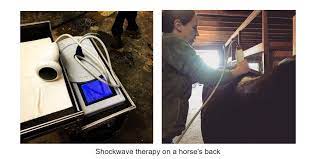How To Recognize Treat And Prevent Back Pain In The Horse Atlantic Equine Services