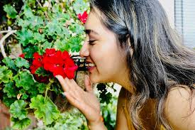 7/6 to 7/7 (Test Shot)