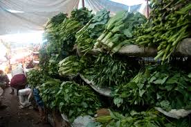 Vegetables differ from the fruits according to their taste and structure. She Earns Sh400 000 Monthly Growing Indigenous Vegetables Dhahabu