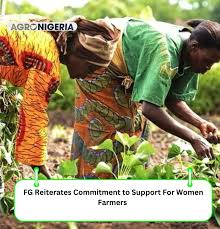 Image result for Maesobotrya