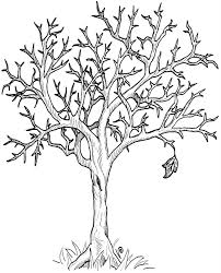The spruce / letícia almeida landscaping enthusiasts have many options for achieving colorful ya. Drawing Fall Season 164333 Nature Printable Coloring Pages