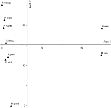 Image result for Paropsia