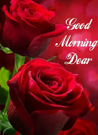 New Good Morning Images For Lover 2020 Download New Collection Good Morning Pitchers Wallpape Good Morning Flowers Good Morning Flowers Gif Good Morning Roses So let's start just download and send these images and together these pictures are free for sharing and well optimized. good morning flowers gif